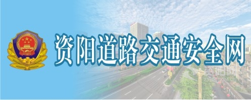 大吊插老逼资阳道路交通安全网